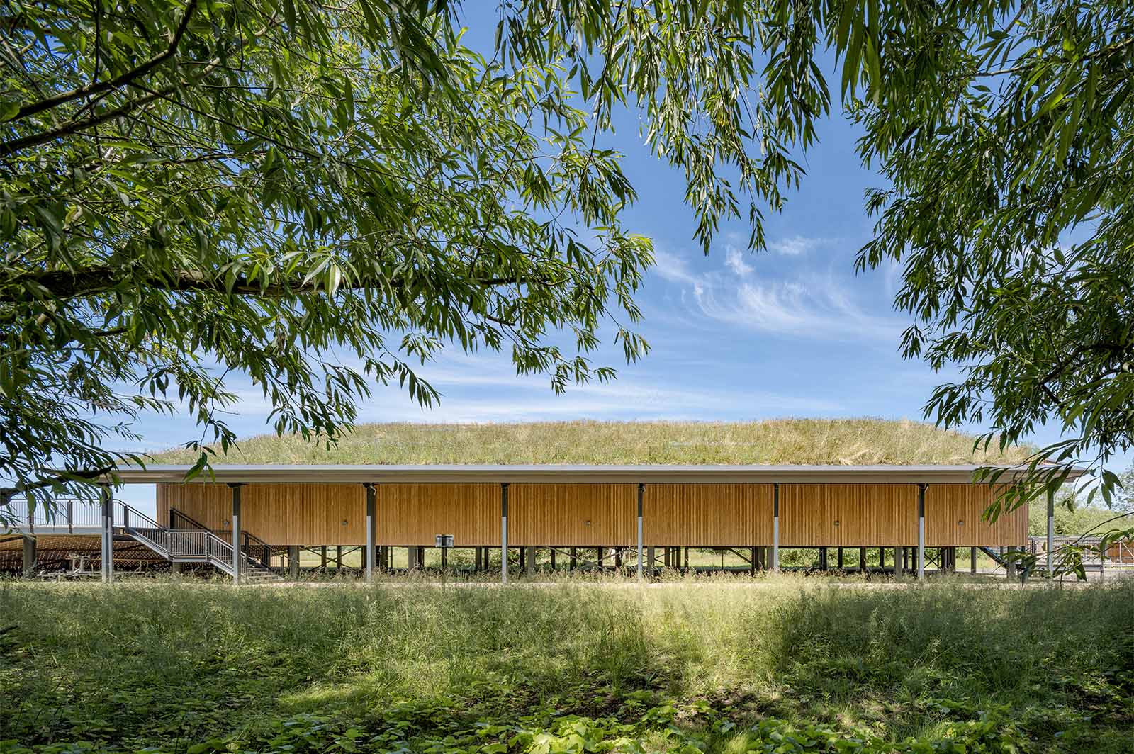 HSOBC project, photo showing the project from a distance, towards its back. Greenery and trees at the foreground.