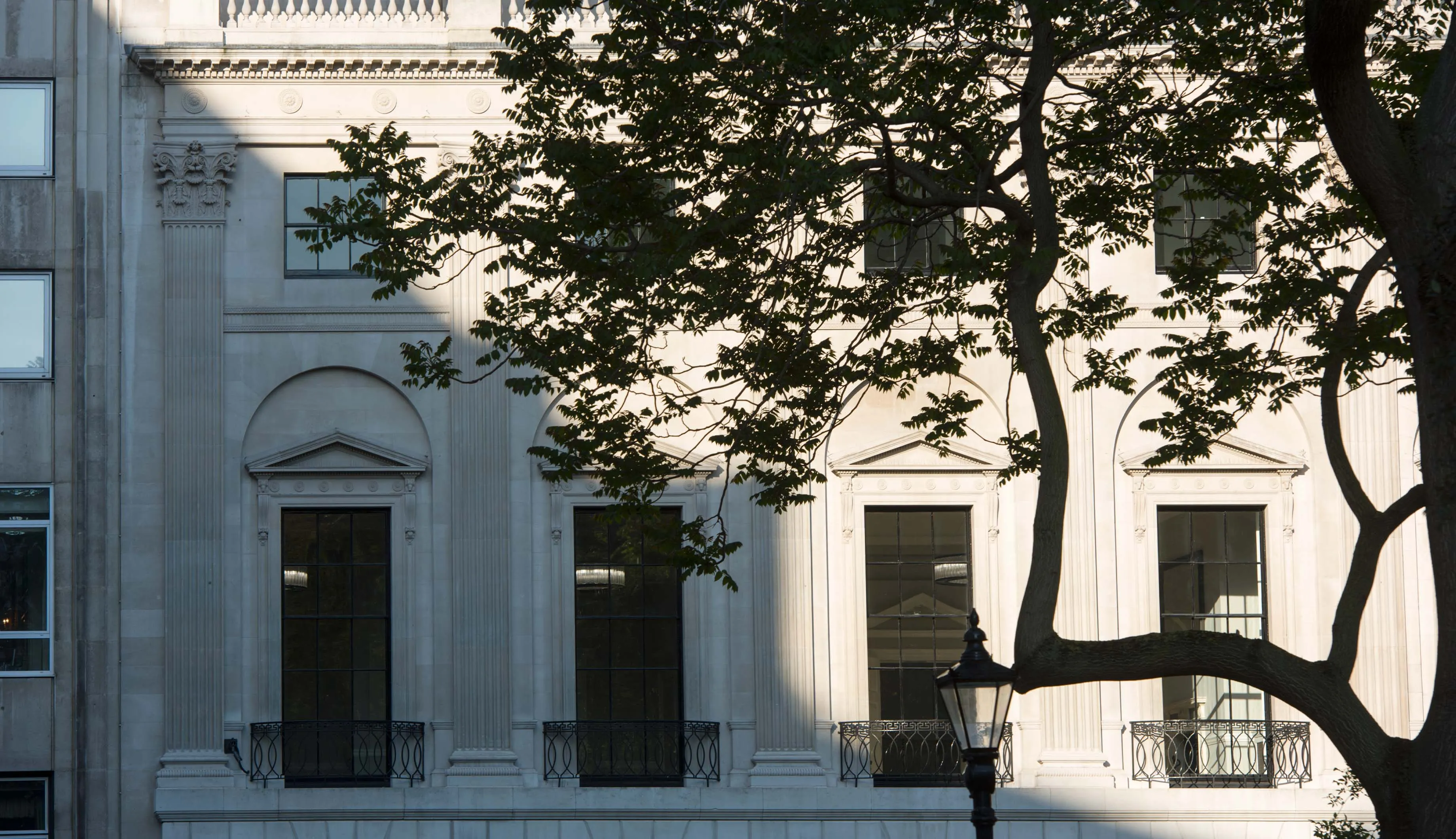 Main image for the project