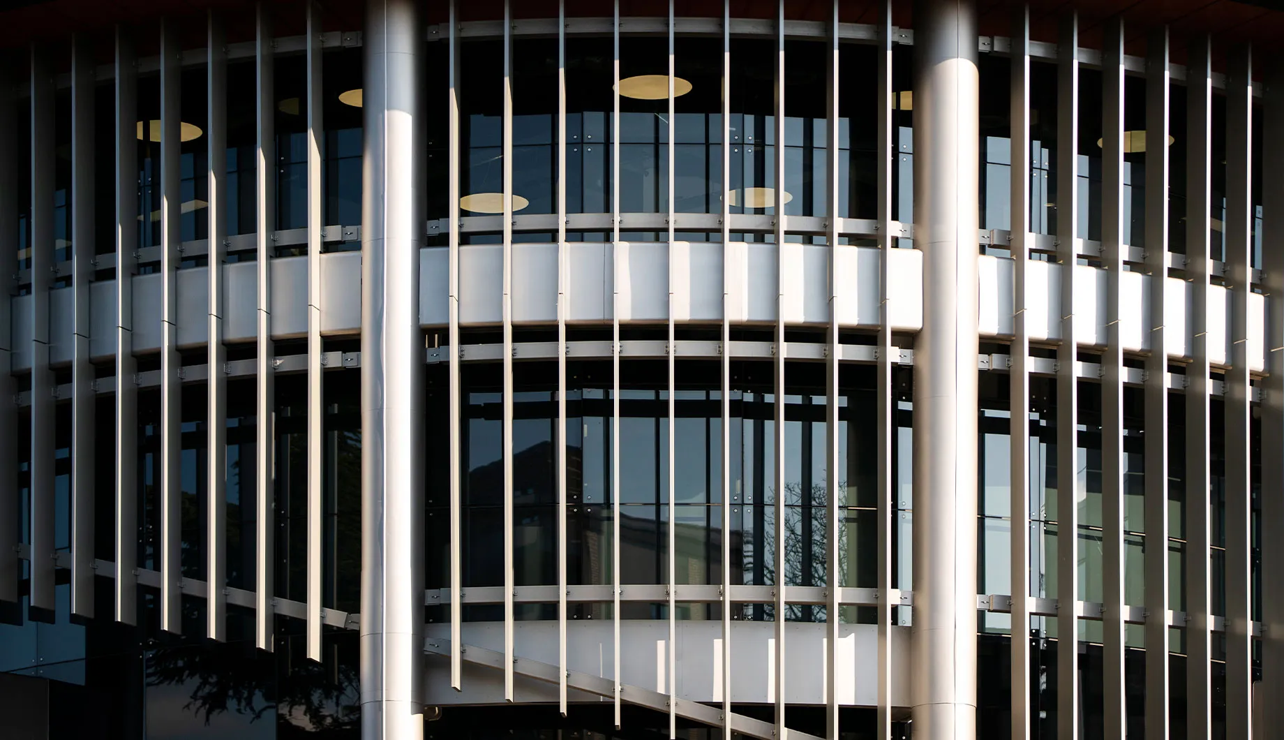 Main image for the project