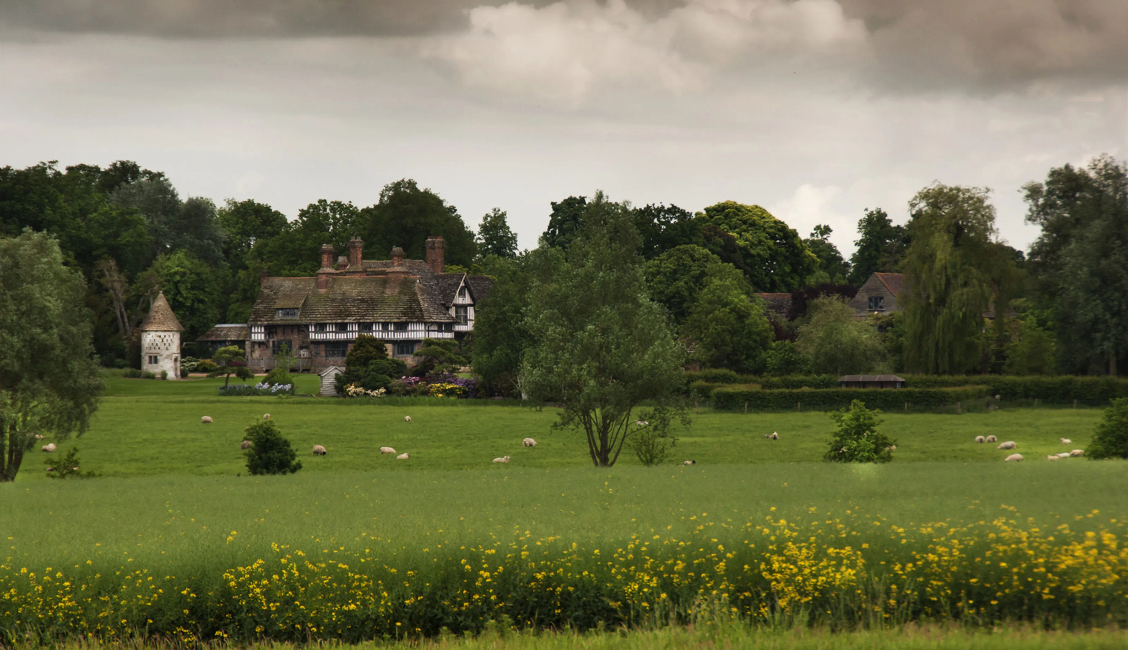 Main image for the project