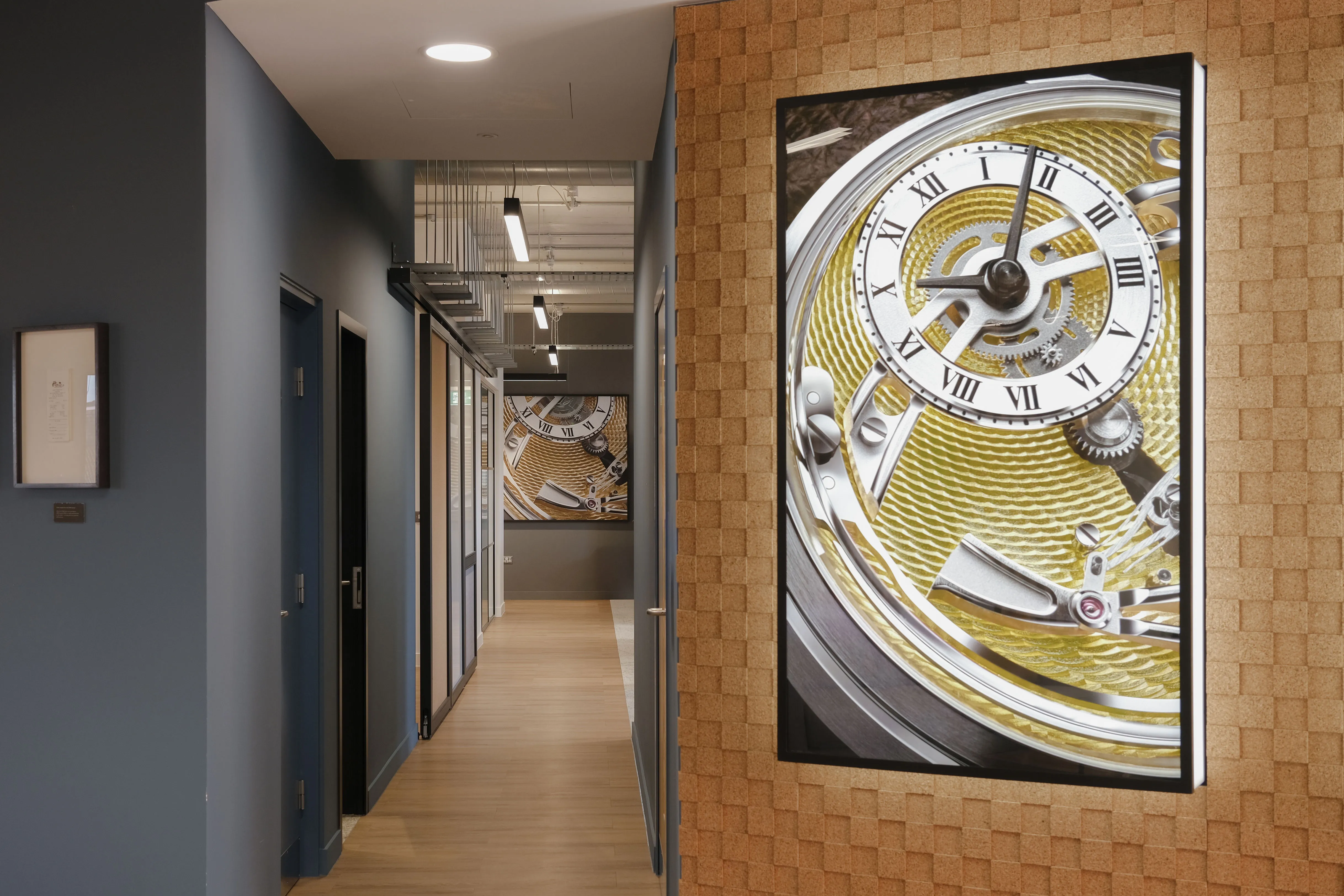 Main image for the project