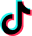 TikTok icon