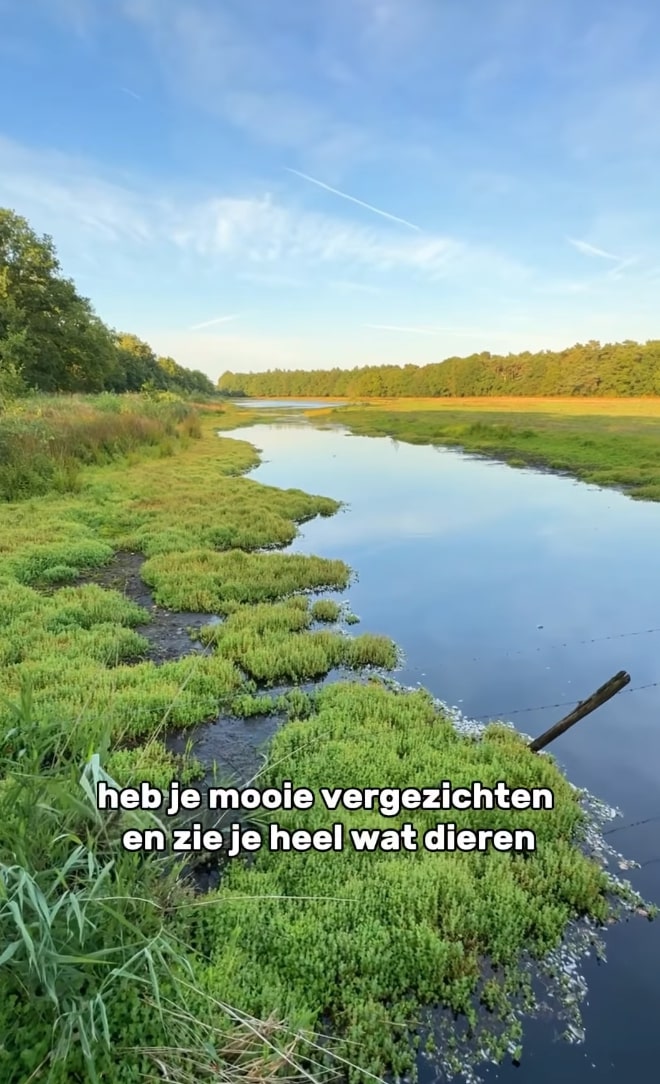 Wandel- en horeca tips gem. Maashorst