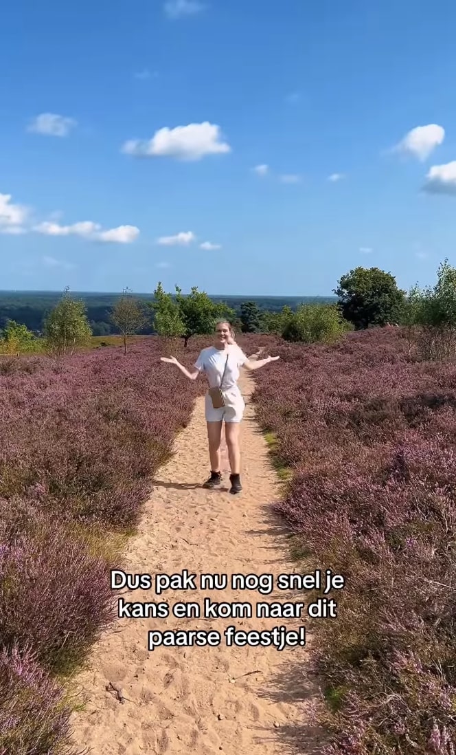 Wandel + lunchtip: Lemelerberg