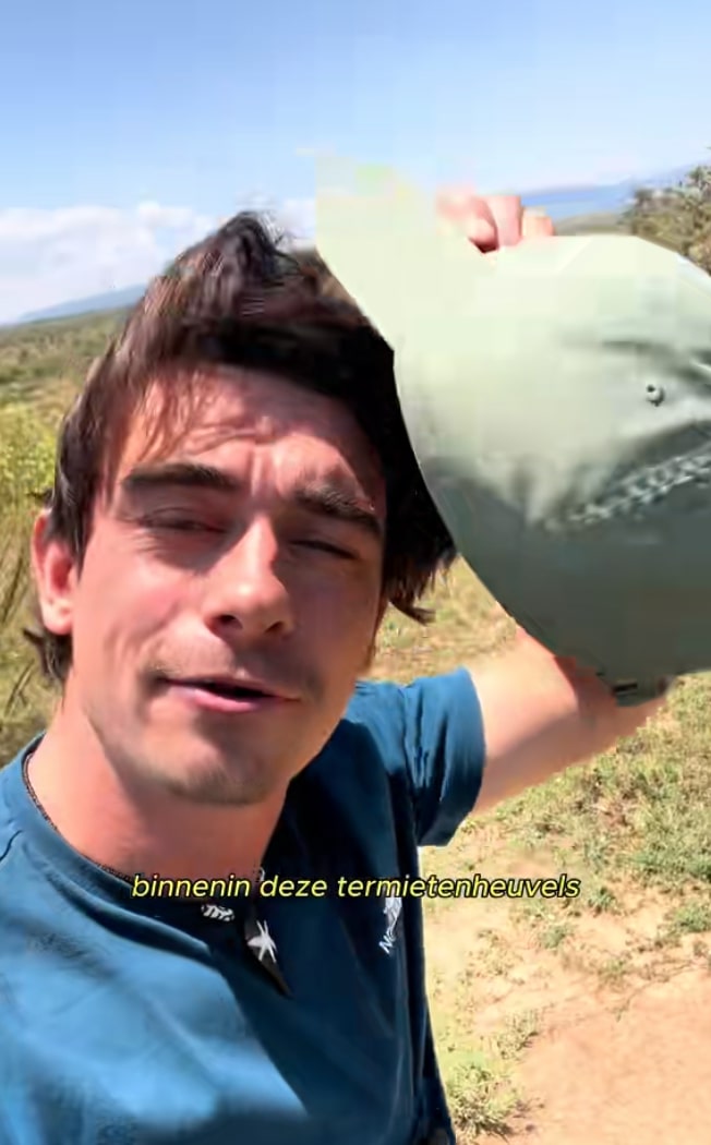 Wandelroute Utrechtse Heuvelrug