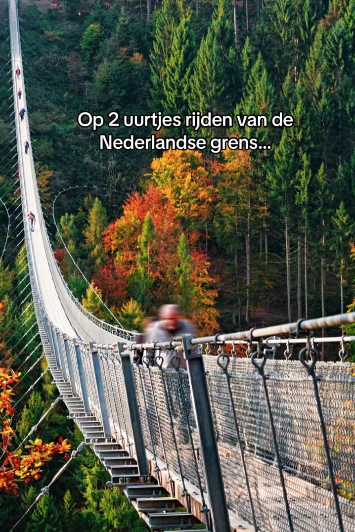 Wandelroute Utrechtse Heuvelrug