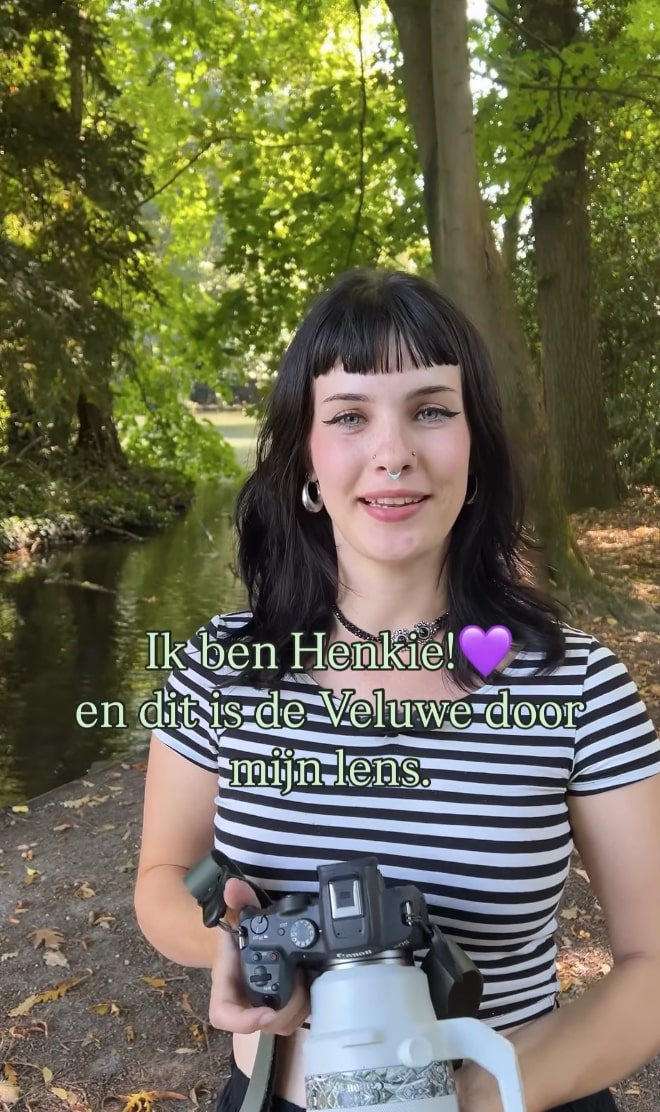 Ontmoeting met wilde zwijnen op de Veluwe