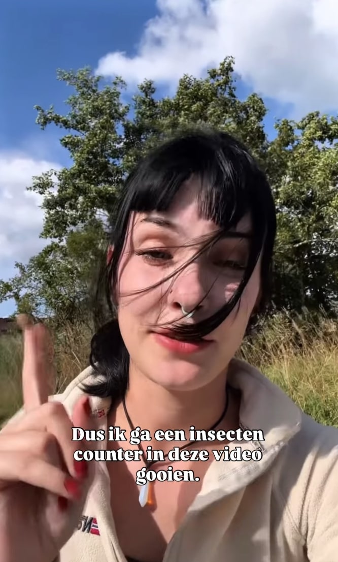 Ontmoeting met wilde zwijnen op de Veluwe