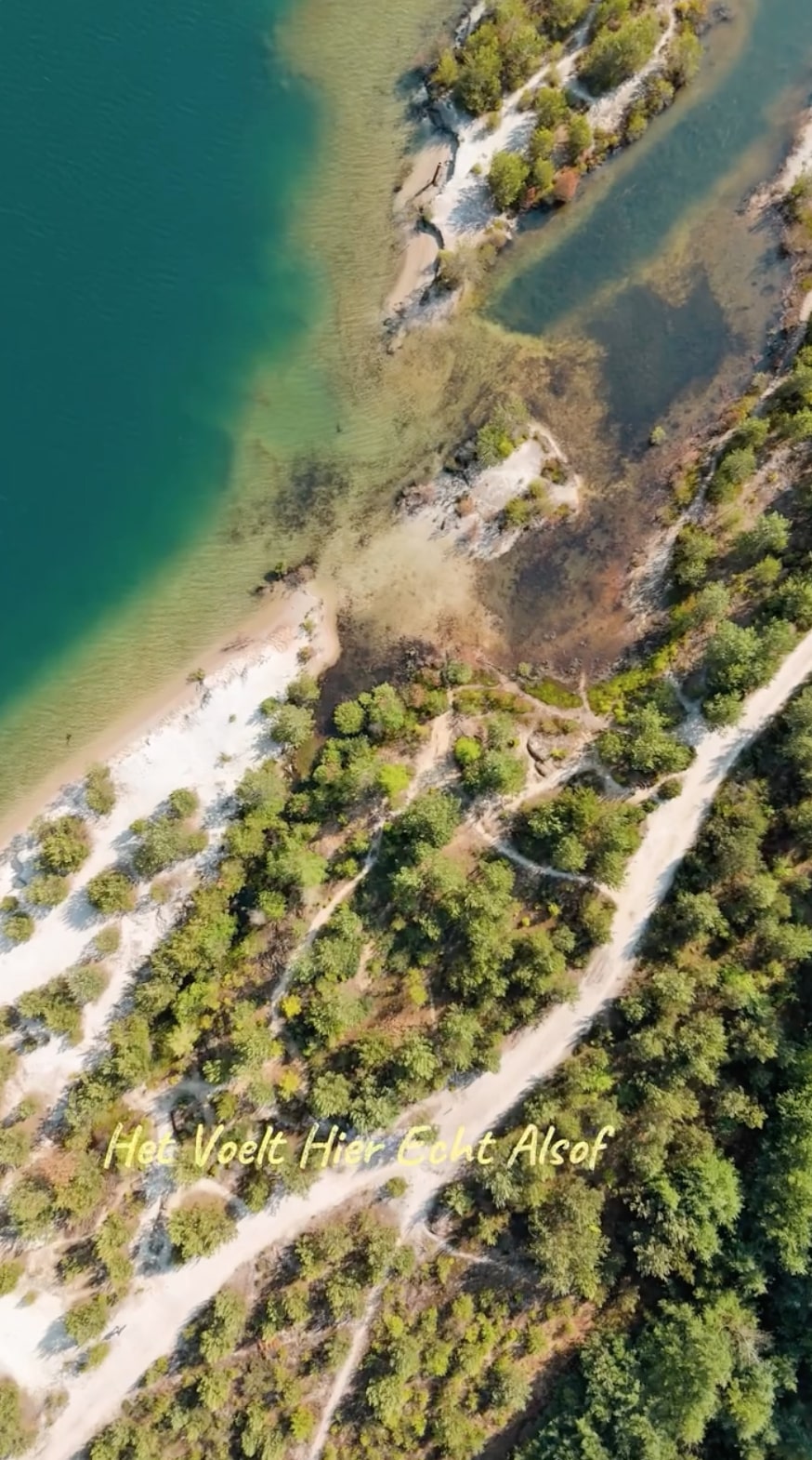 Winterwandeling in Schoorlse duinen