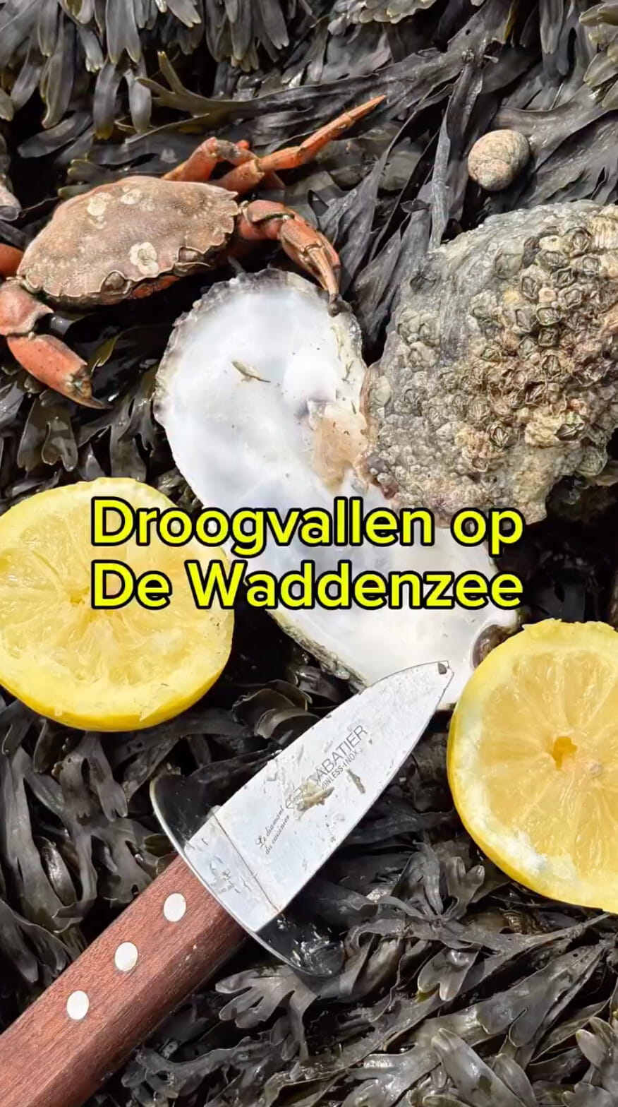 Voedselbank steunen?