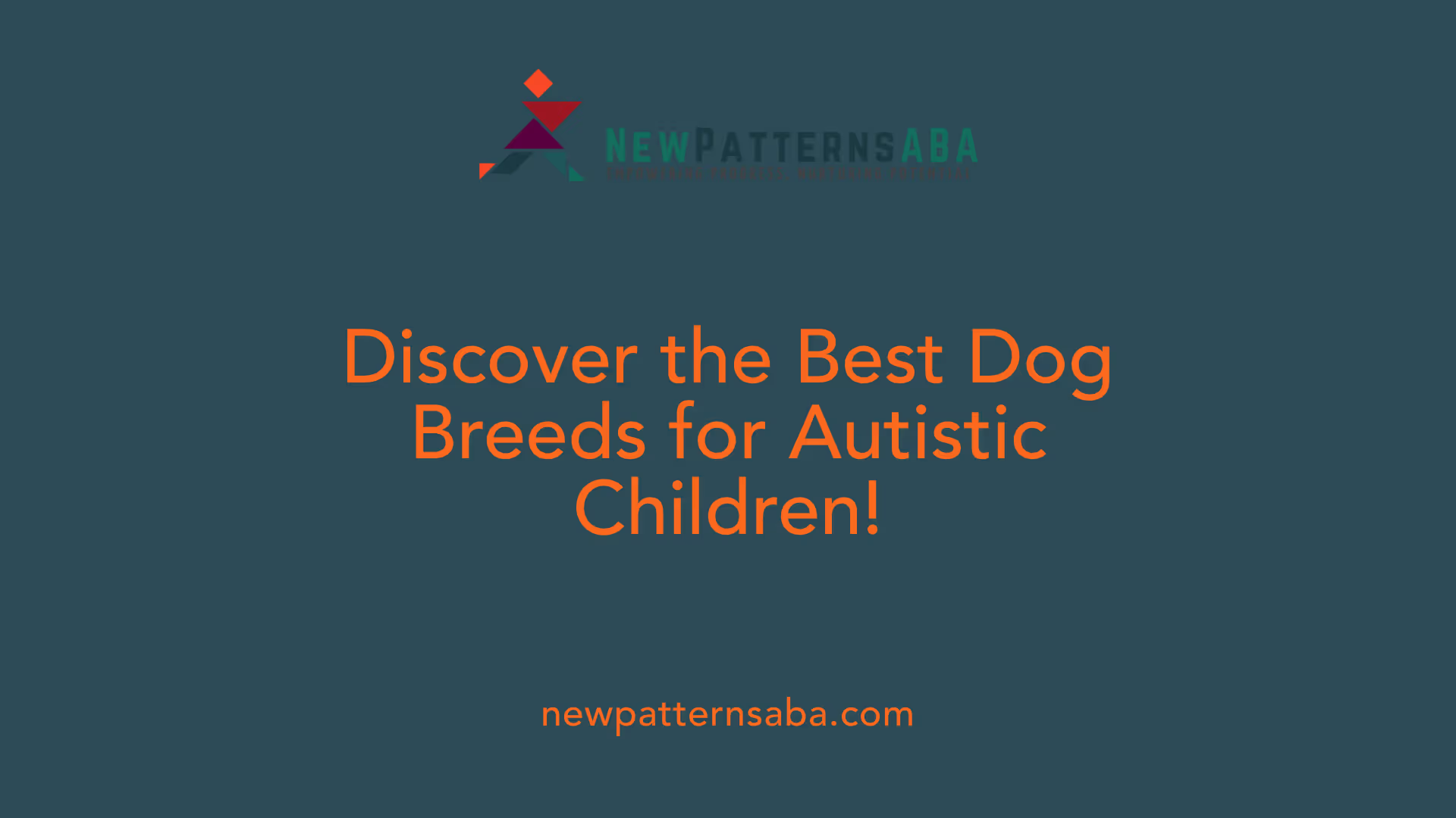 Discover the Best Dog Breeds for Autistic Children!