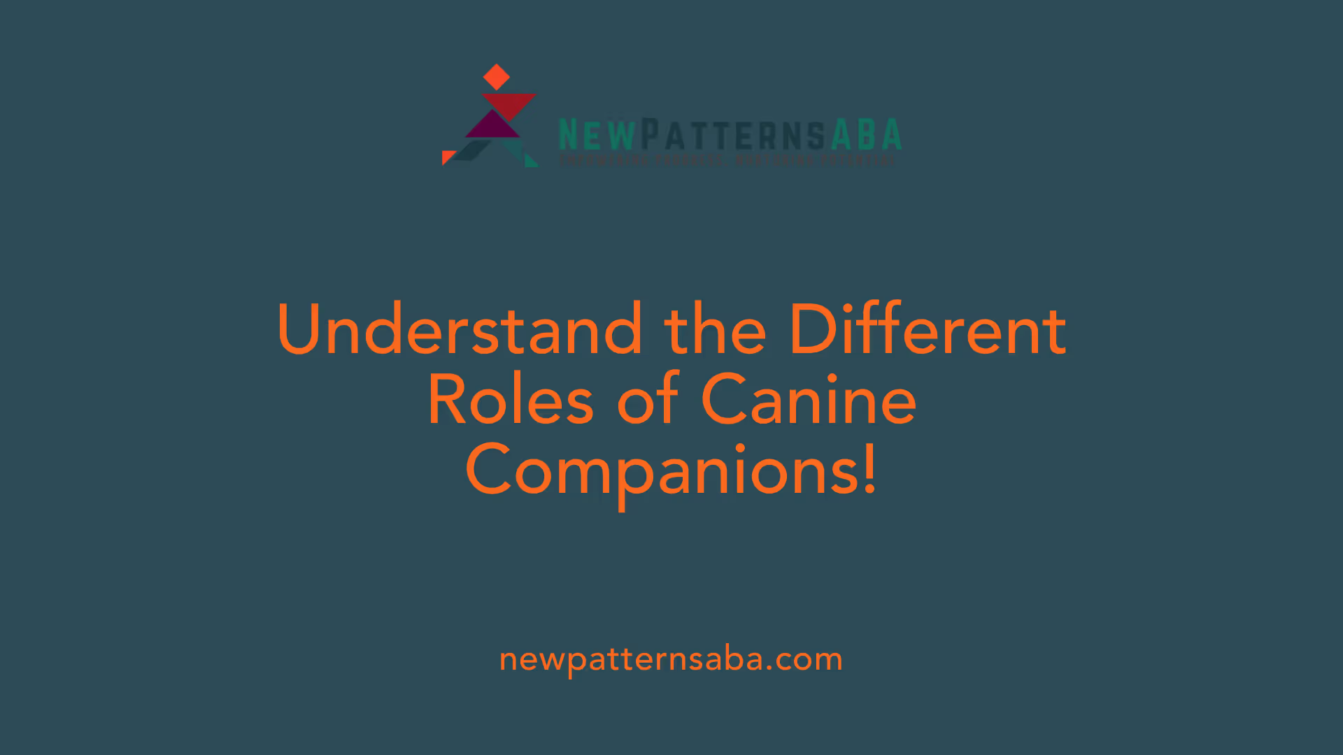 Understand the Different Roles of Canine Companions!