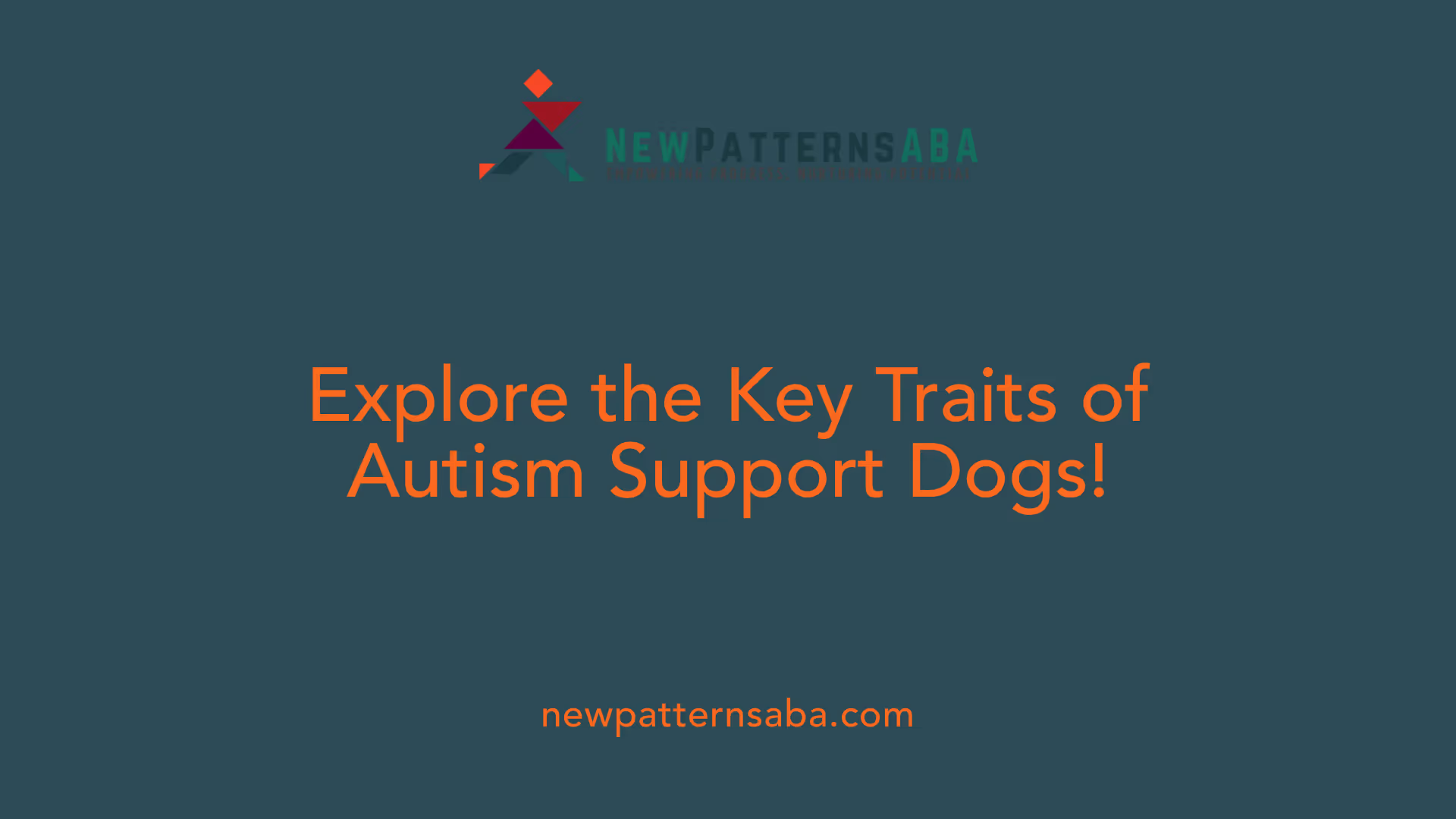 Explore the Key Traits of Autism Support Dogs!