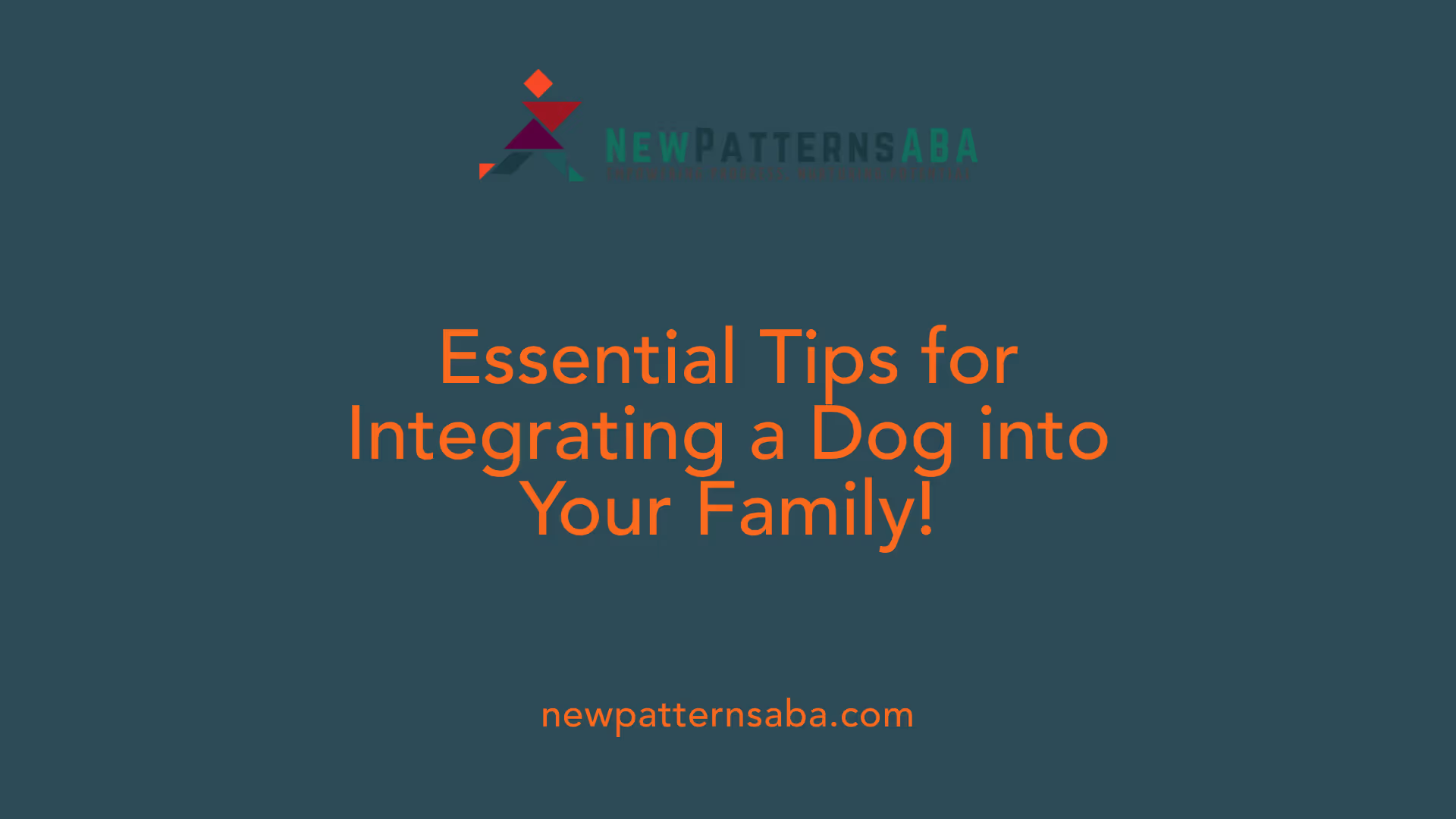 Essential Tips for Integrating a Dog into Your Family!
