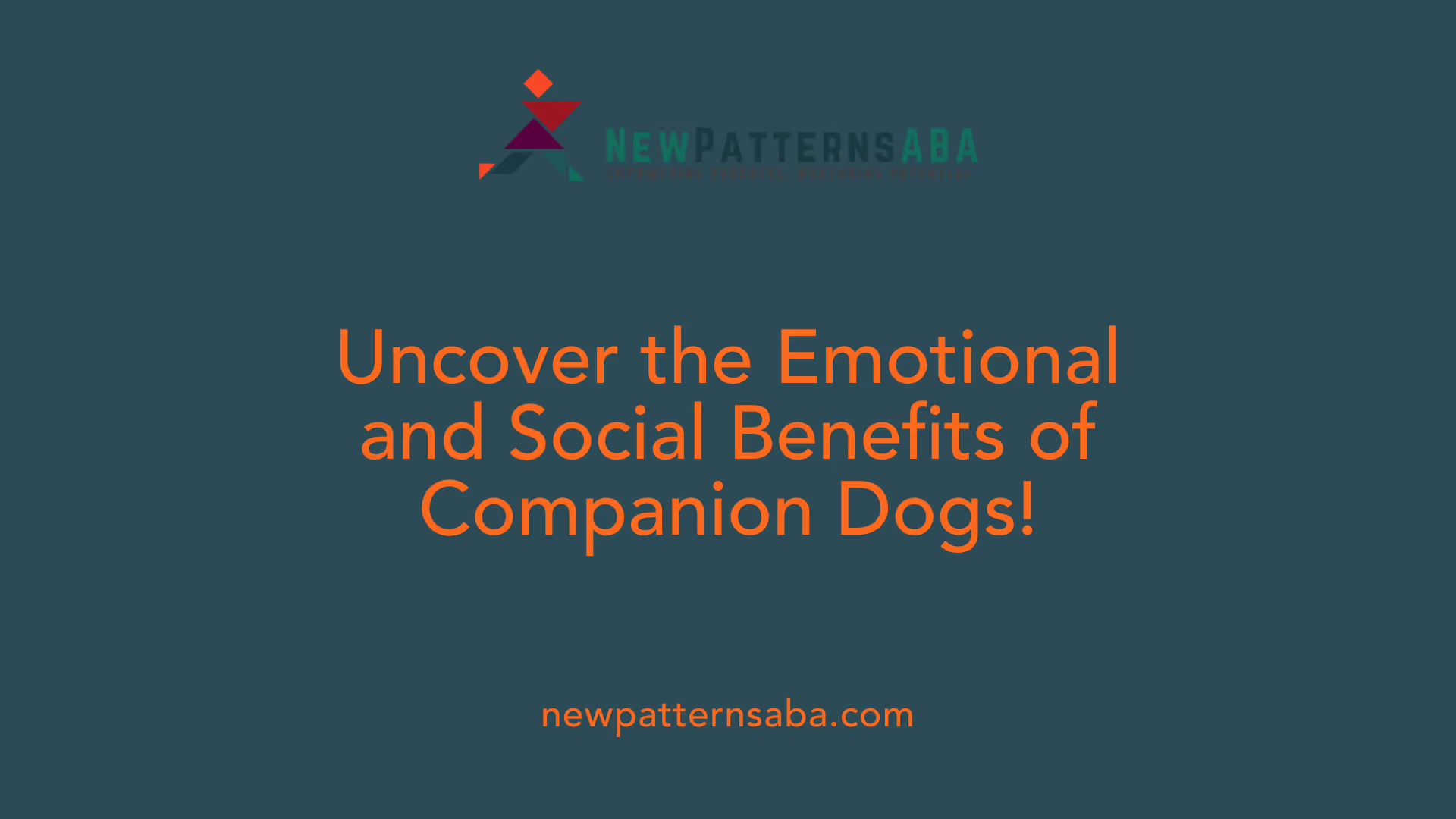 Uncover the Emotional and Social Benefits of Companion Dogs!