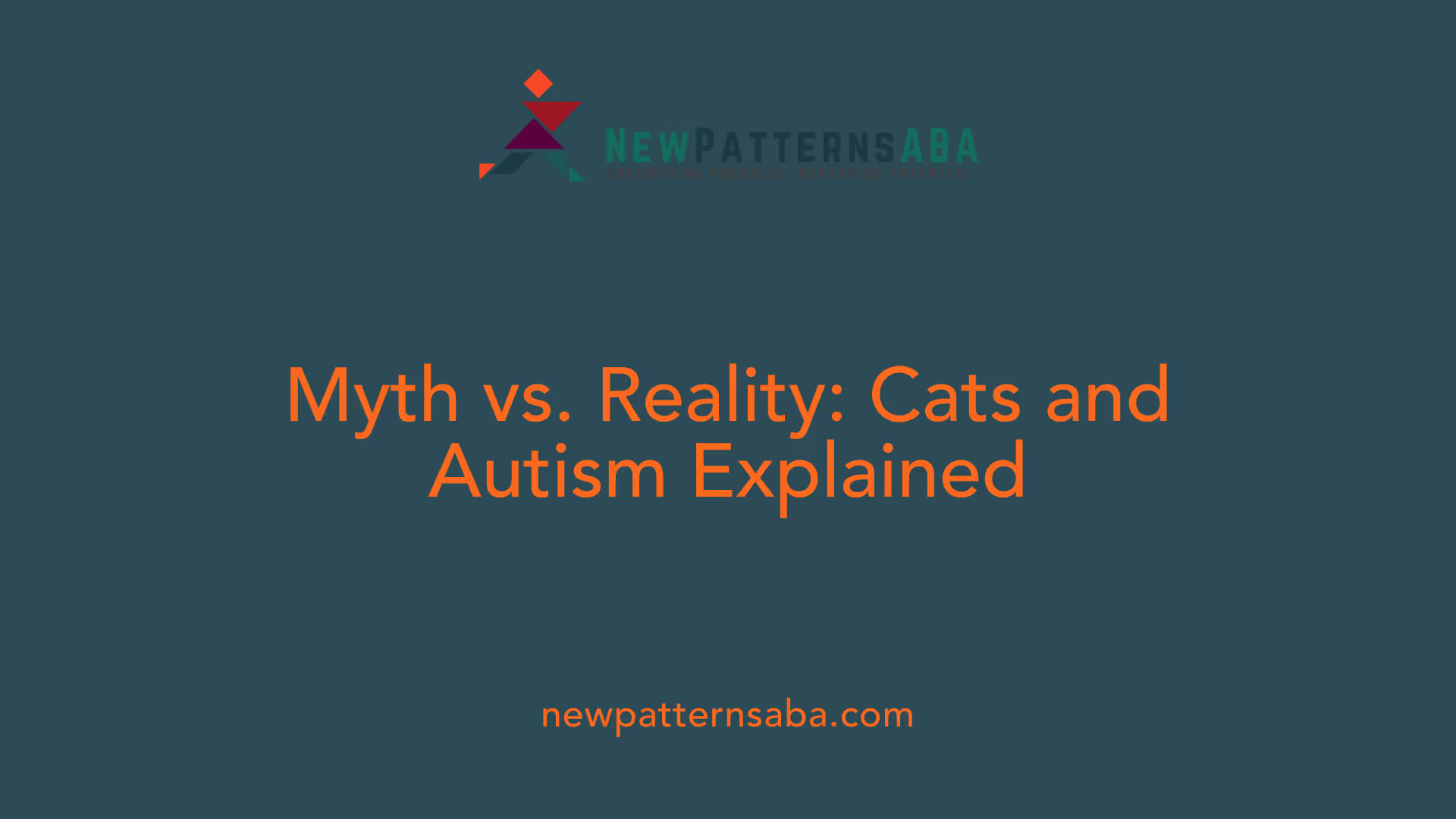 Myth vs. Reality: Cats and Autism Explained