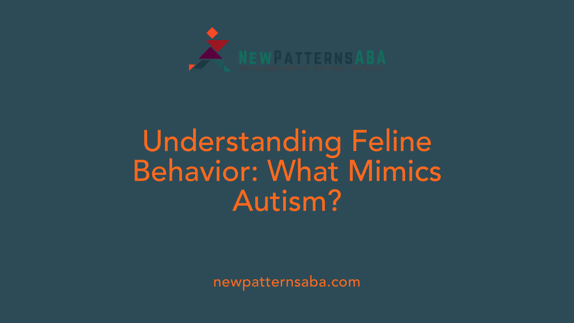 Understanding Feline Behavior: What Mimics Autism?