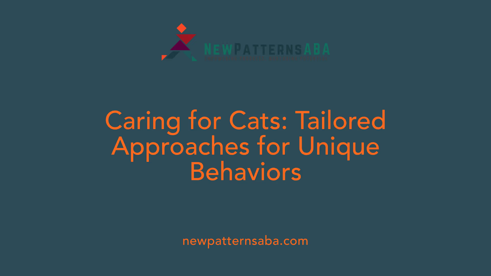 Caring for Cats: Tailored Approaches for Unique Behaviors