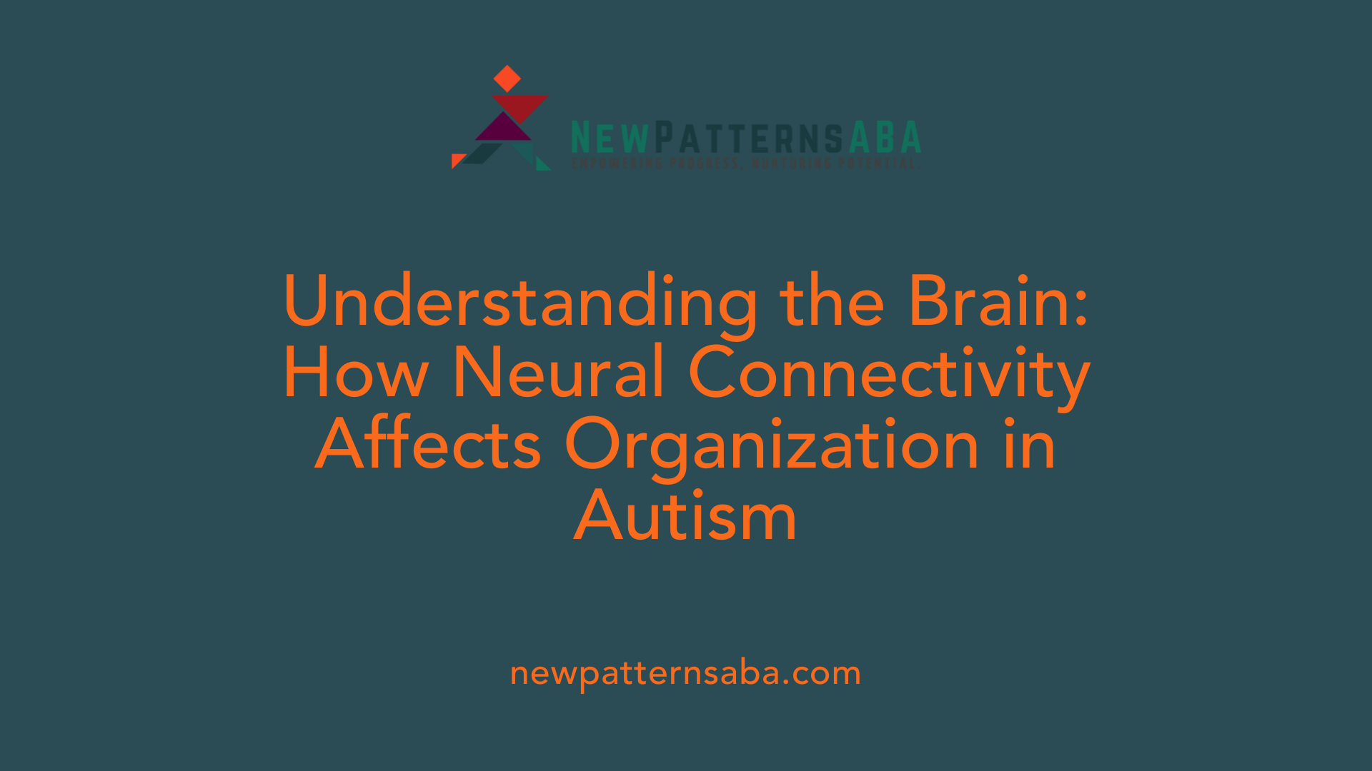 Understanding the Brain: How Neural Connectivity Affects Organization in Autism