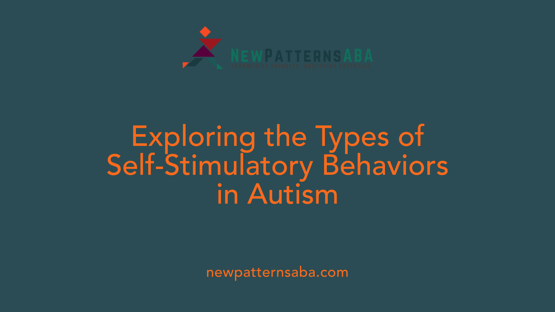 Exploring the Types of Self-Stimulatory Behaviors in Autism