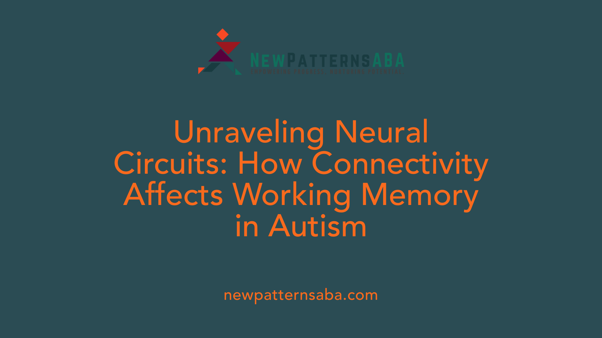 Unraveling Neural Circuits: How Connectivity Affects Working Memory in Autism