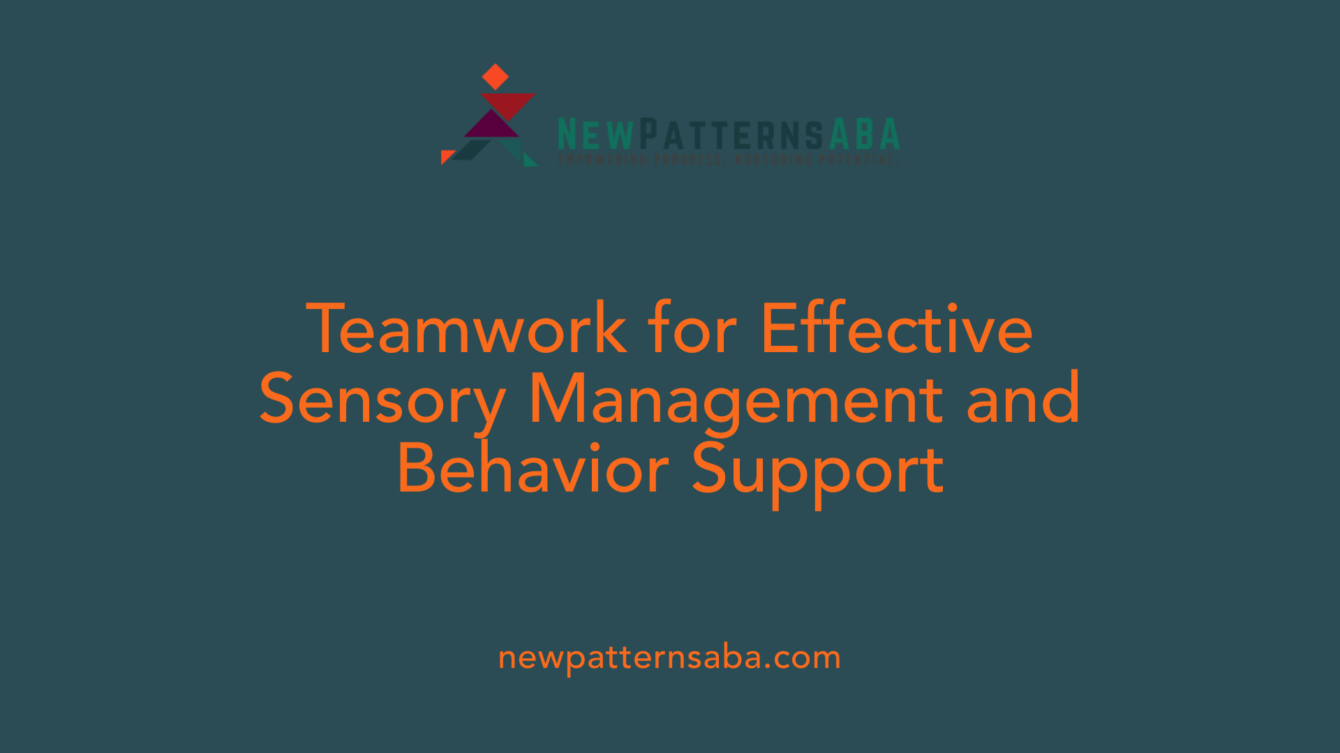 Teamwork for Effective Sensory Management and Behavior Support