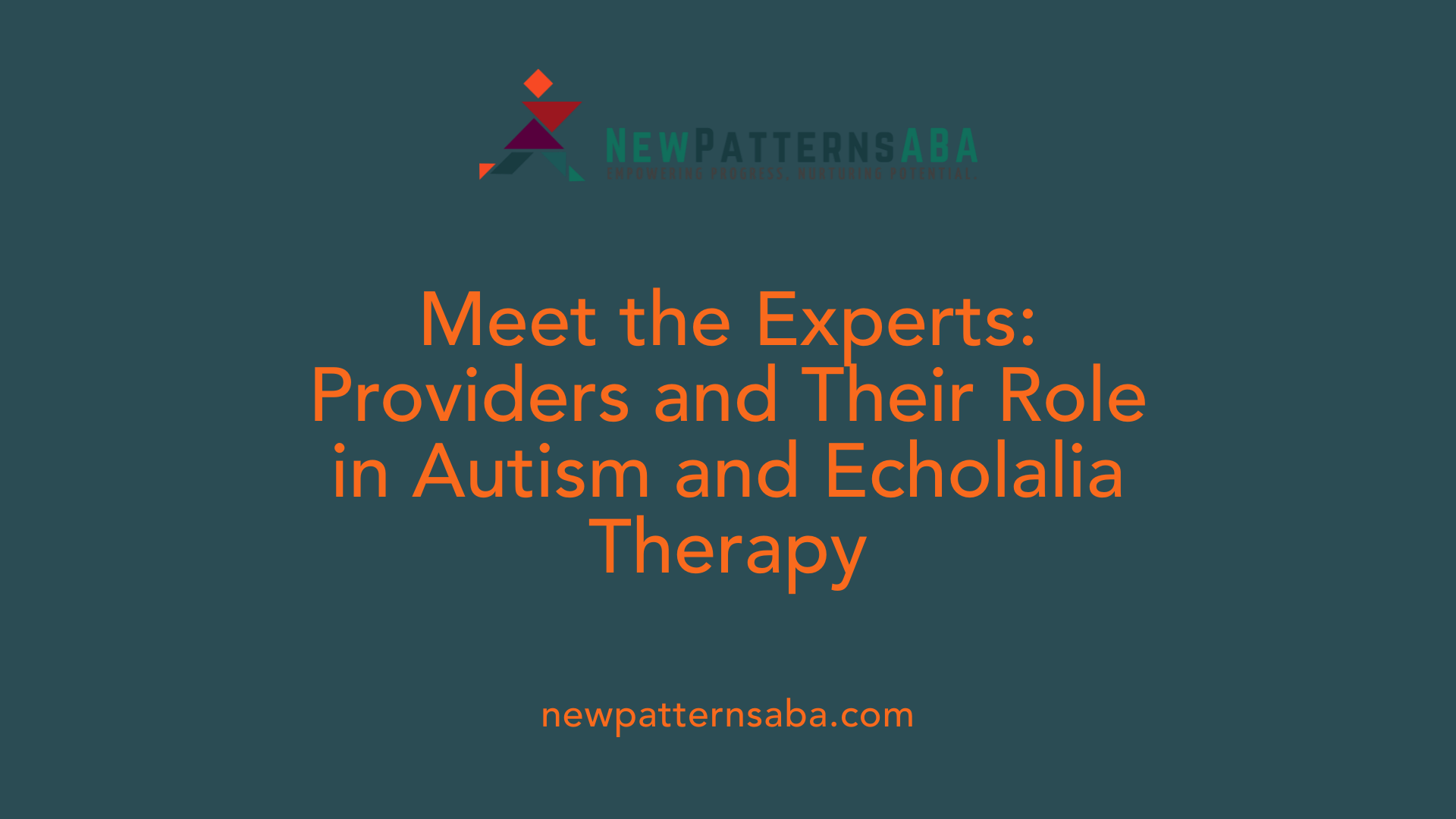 Meet the Experts: Providers and Their Role in Autism and Echolalia Therapy