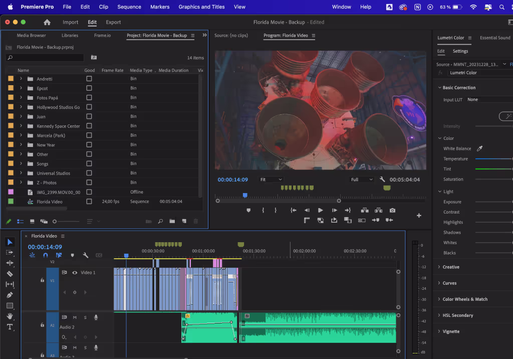 Screen image of premiere pro software