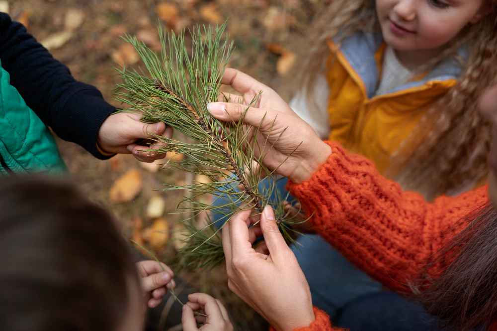 Outdoor Learning as Part of the National Curriculum