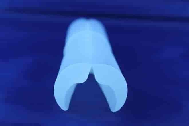 Himplant Penis Implant Pictures