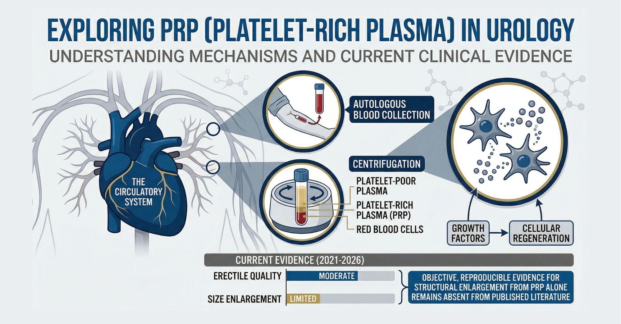 P-Shot for Penis Enlargement: Effectiveness, Risks, and Alternatives