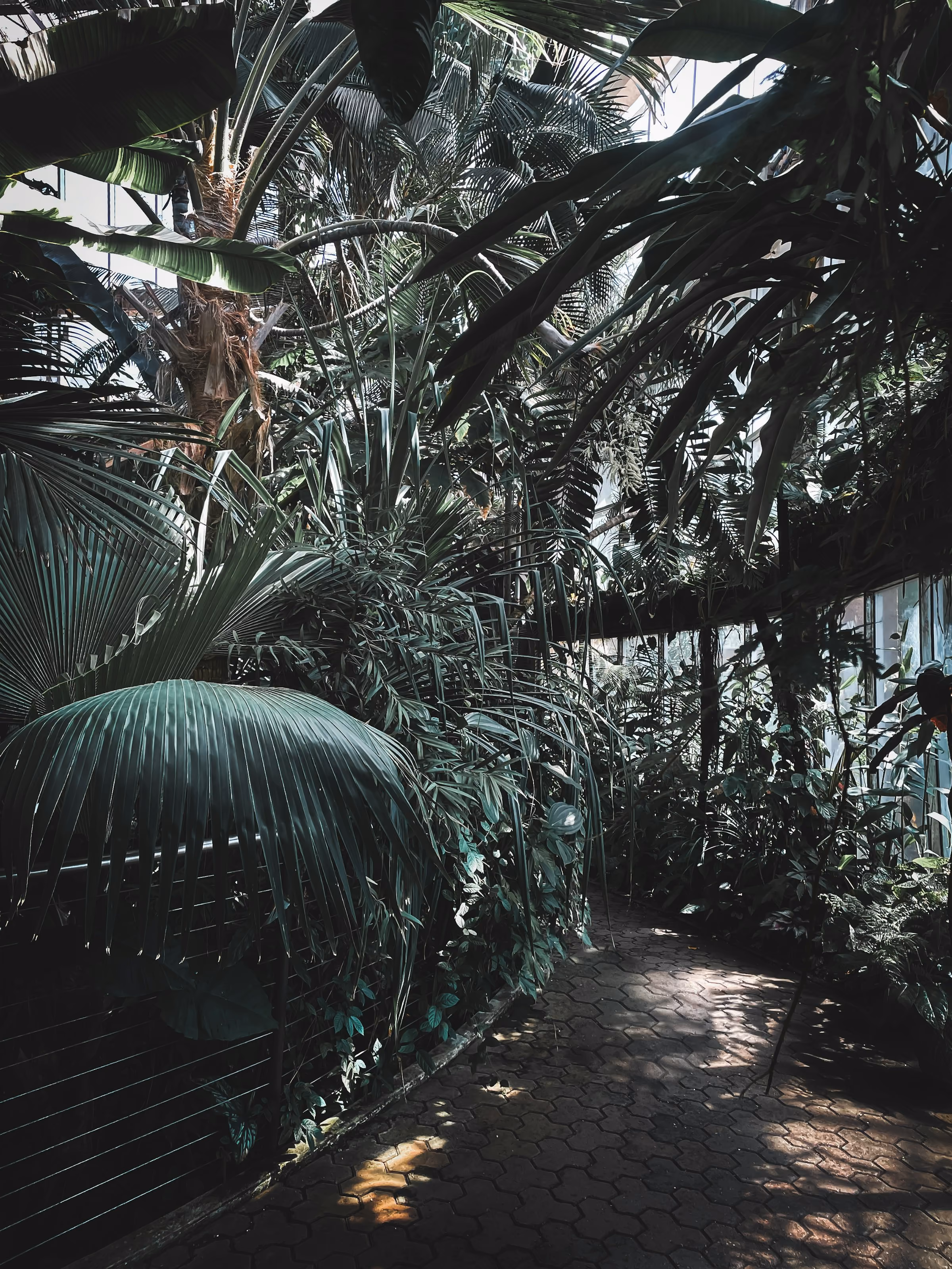Prince Hashem Bird Garden