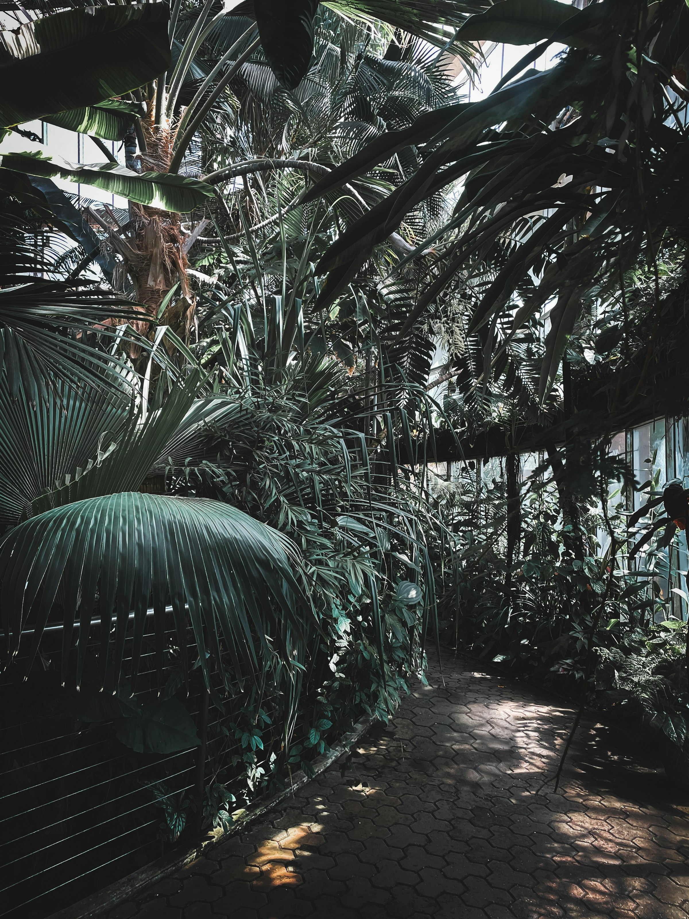 Jardín Botánico de Medellín