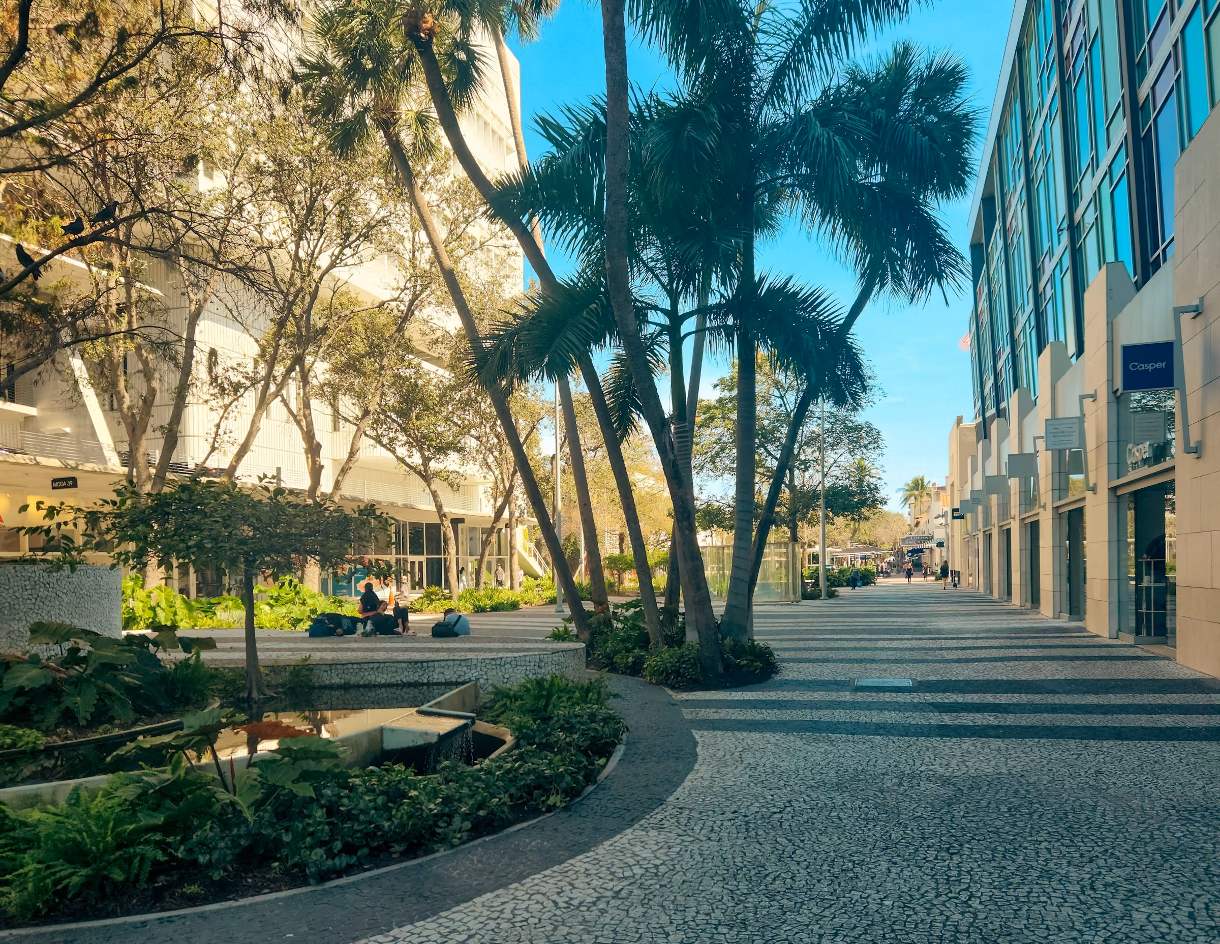 Lincoln Road Shopping District