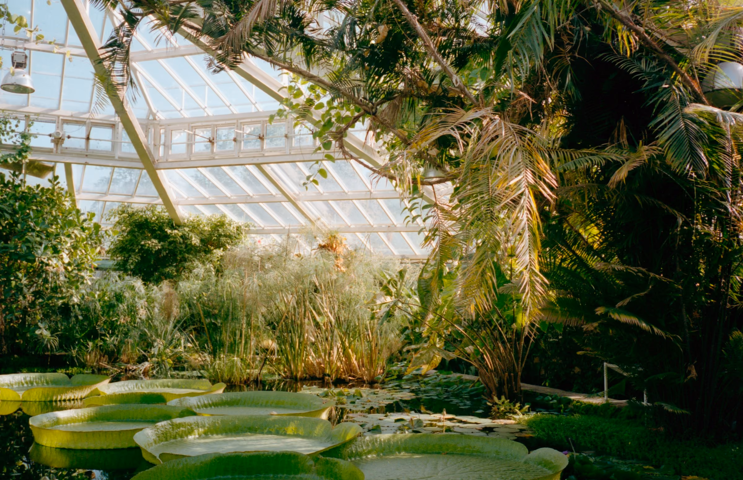 Jardín Botánico José Celestino Mutis