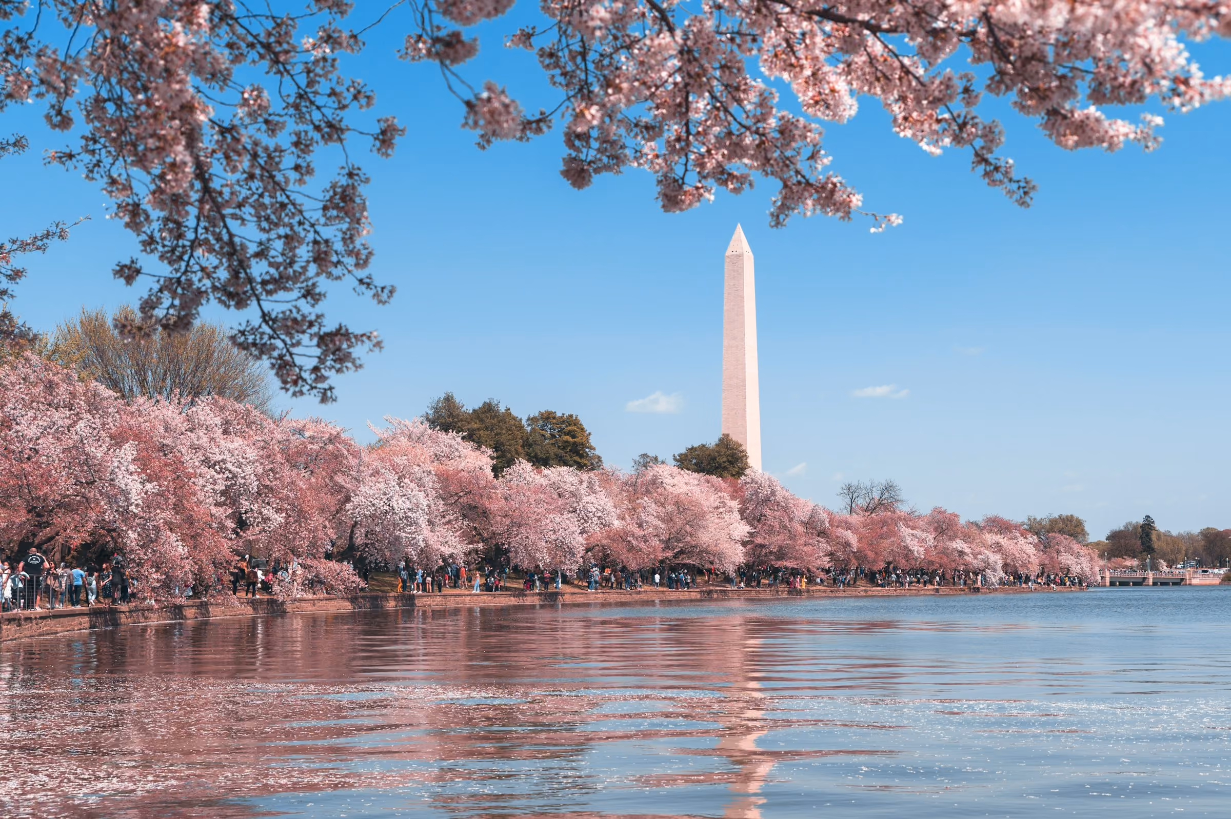 El Monumento a Washington en el National Mall