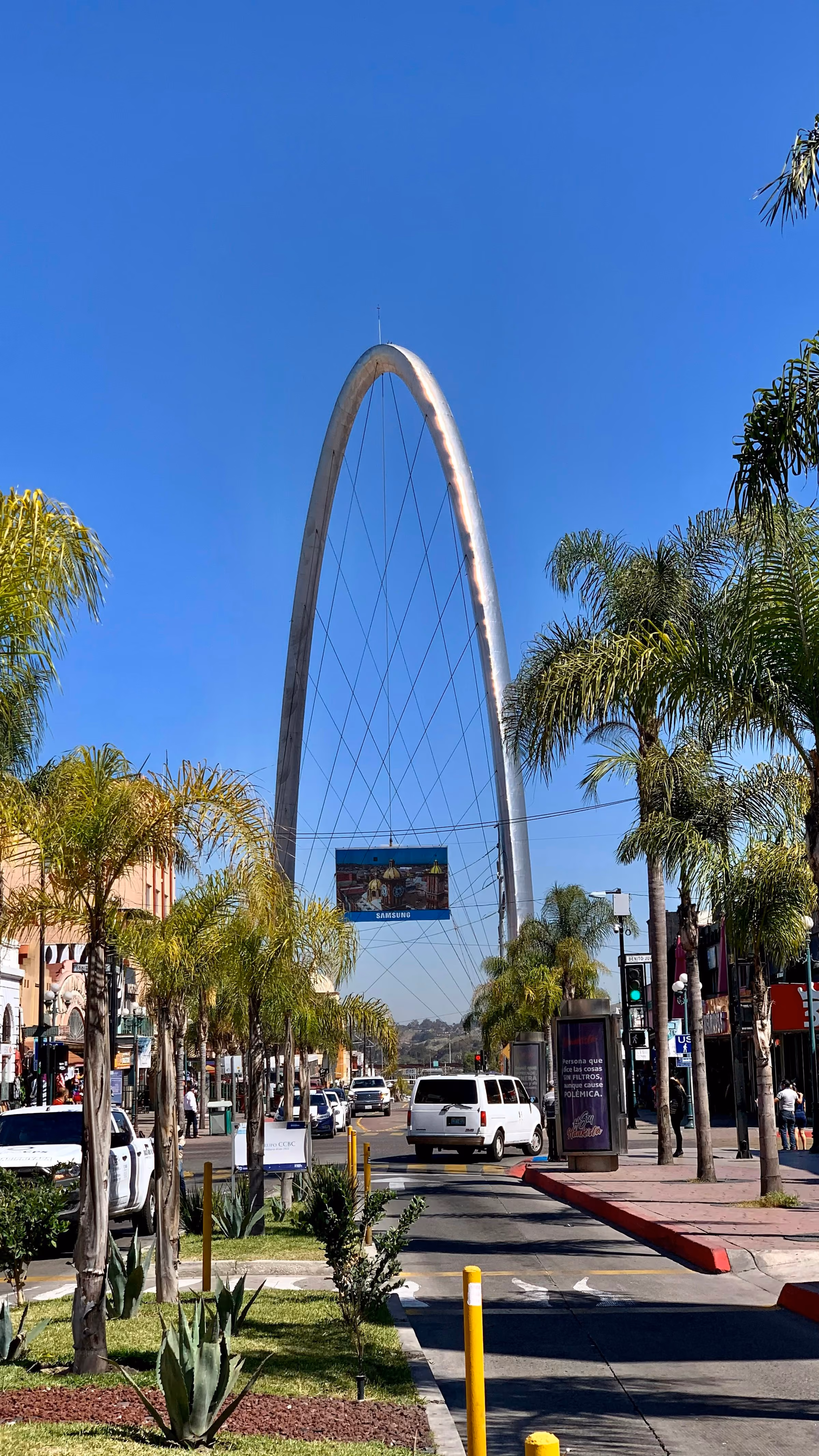 Calle con palmeras en Tijuana, México
