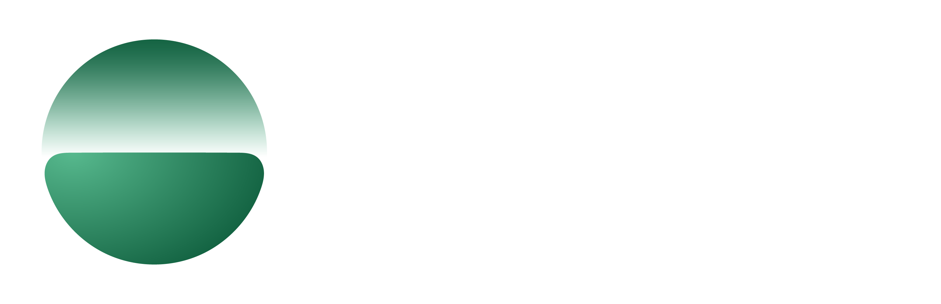 Logo of Island Enterprise Browser