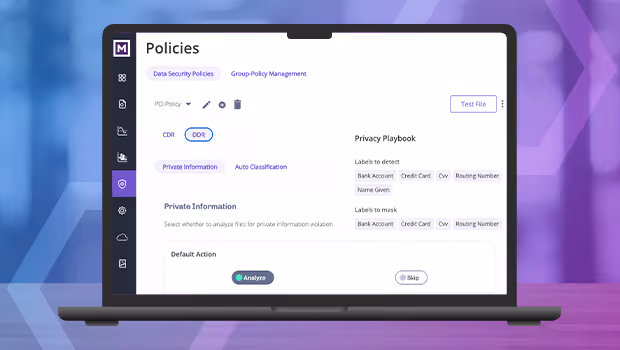 Laptop screen displaying a Policies interface for data security, showing options for Data Security Policies, Group Policy Management, and private information analysis with buttons labeled Analyze and Skip.