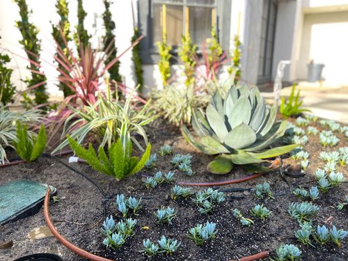 Car parked near the house