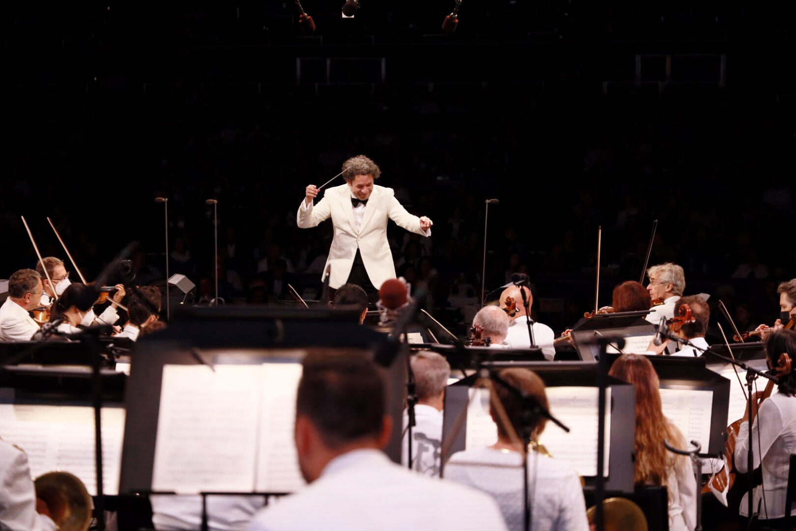 ¡Bienvenido Gustavo!