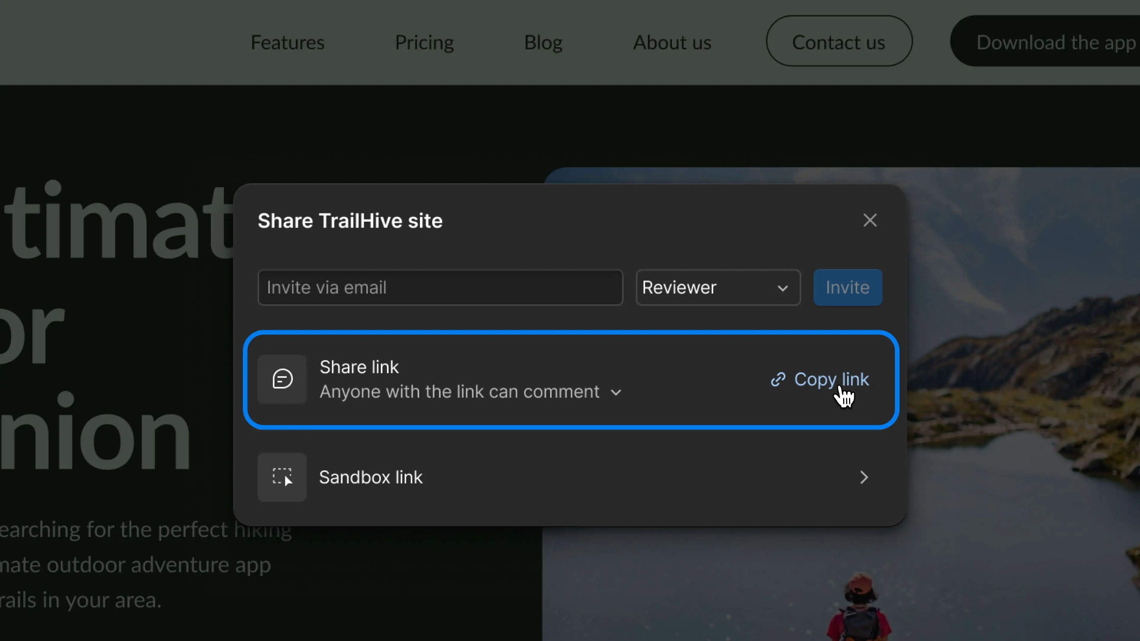 Screenshot of Webflow's new comment-only link feature
