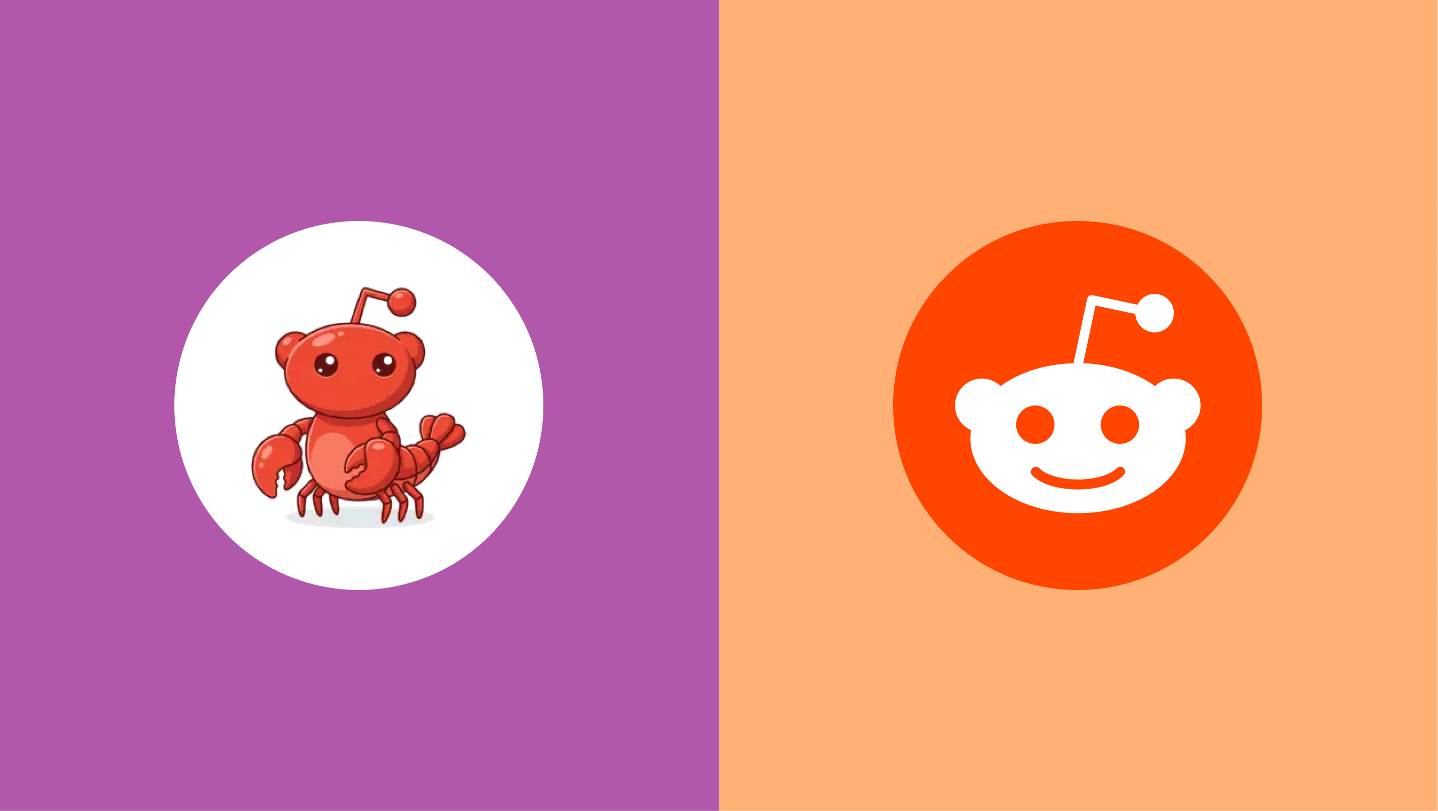 Side-by-side logos of Moltbook and Reddit, visually comparing the AI-first social platform with the popular human-driven discussion forum.