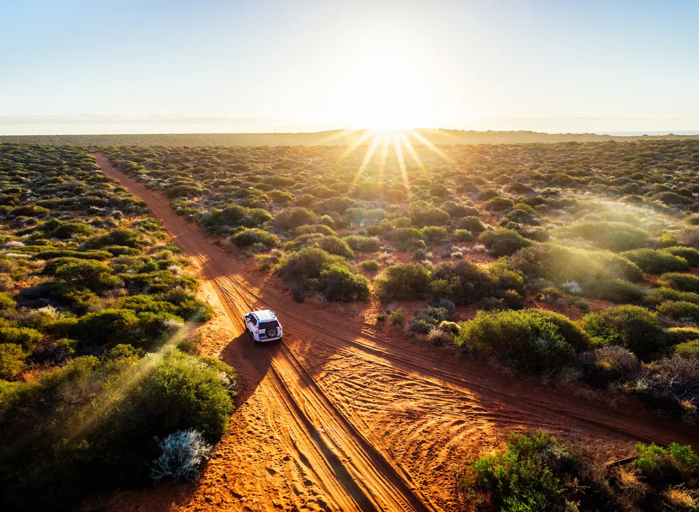 White SUV driving on a red dirt road through dense green shrubland at sunrise.