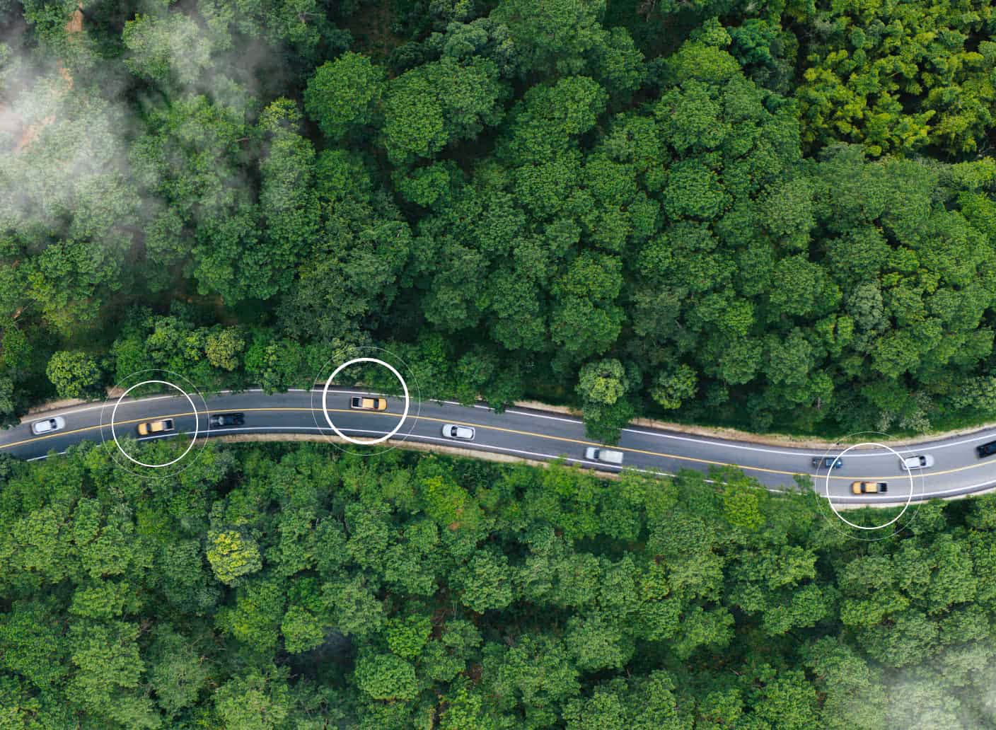 White SUV driving on a red dirt road through dense green shrubland at sunrise.
