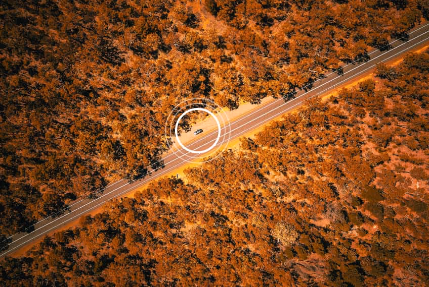 Aerial view of a car stopped on a straight road cutting through a dense forest with orange foliage.