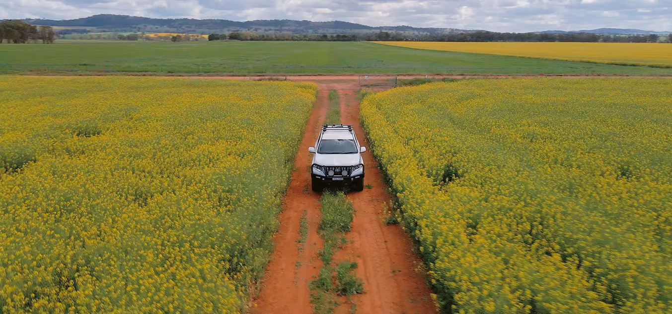 White SUV driving on red dirt road through yellow flowering fields under a cloudy sky.