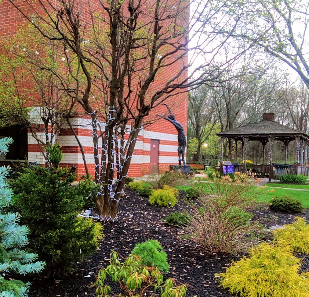 Hebrew Center for Health & Rehabilitation