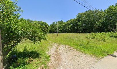 Pine Valley