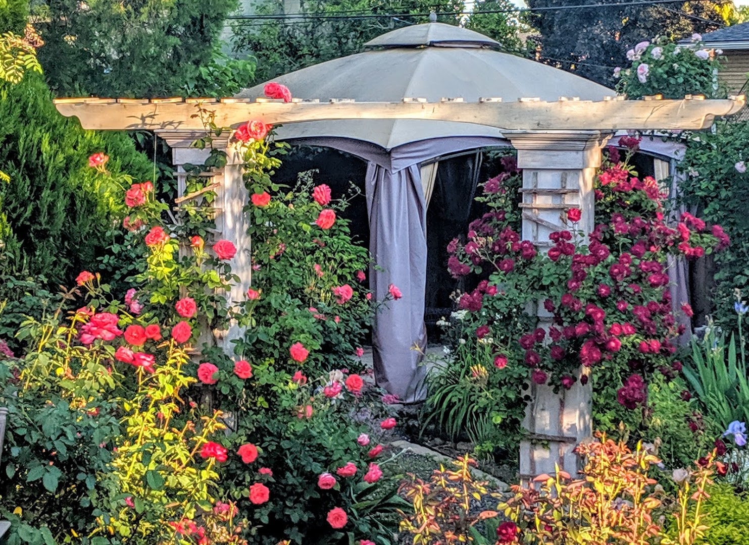 Mountain View Crossing